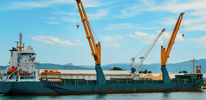 Financial Strategies for Success